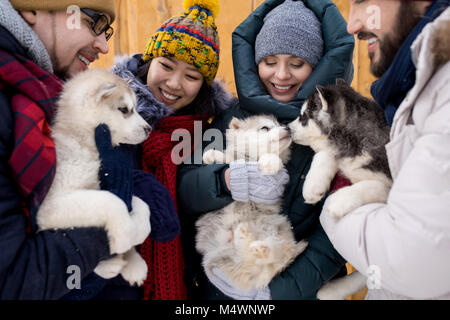 Group of young people playing with adorable husky puppies smiling happily enjoying nice winter day outdoors Stock Photo