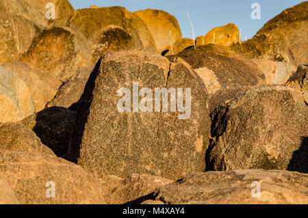 Petroglyphs, or rock art, in Saguaro National Park were carved into stone by Hohokam people more than a thousand years ago and can now be seen on the  Stock Photo