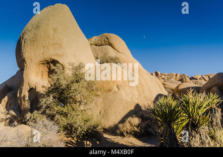 The Skull Rock geological formation is a favorite of visitors to Joshua Tree National Park in Yucca Valley, Mojave Desert, California USA. Stock Photo