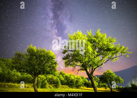 Green plum trees Milky way night sky Stock Photo