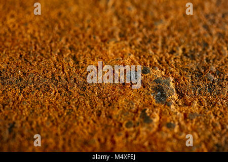 Bronze Rough Rusted Texture Vintage bronze seamless background. Colorful rust texture. Creative ...