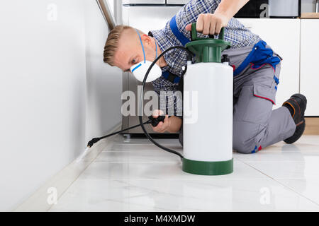 Pest Control Worker Spraying Pesticide On Wall With Sprayer In Kitchen Stock Photo