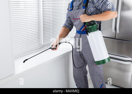 Midsection Of Worker Spraying Insecticide On Windowsill With Sprayer In Kitchen Stock Photo