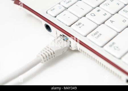 LAN cable is connecting internet to laptop Stock Photo