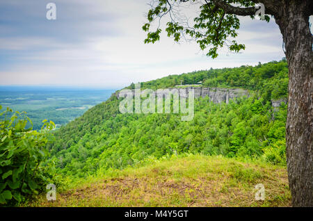 Scenic overview of Hedelberg cliffs seen at John Boyd Thacher State Park in Voorheesville, New York. Stock Photo