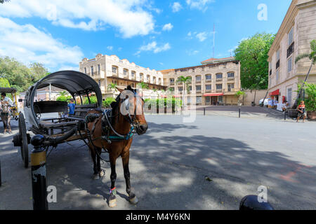 Manila, Philippines - Feb 17, 2018 : Horse with carriage waiting for tourists in Intramuros district Stock Photo