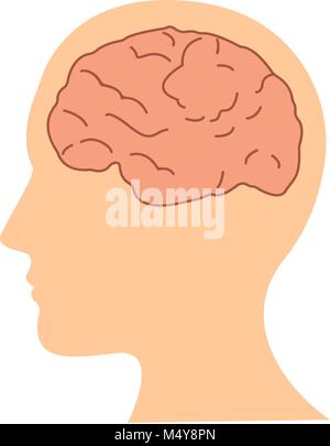 flat design human brain in head icon vector illustration Stock Vector