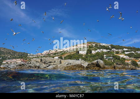 Mediterranean gulls flying over a rocky seashore with buildings in background, seen from water surface, Spain, Costa Brava, Catalonia, Roses, Girona Stock Photo