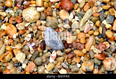 colorful tropical beach gravel in sunlight Stock Photo