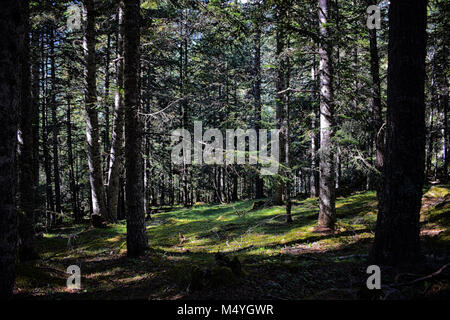 Parc Natural de l'Alt Pirineu de Catalunya Stock Photo