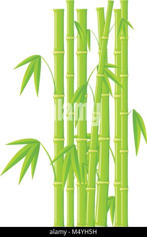 Stems of bamboo in simple style on white background Stock Vector