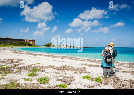Bird watching senior couple peers at migrating sooty terns on a beach next to Fort Jefferson at Dry Tortugas National Park. Stock Photo