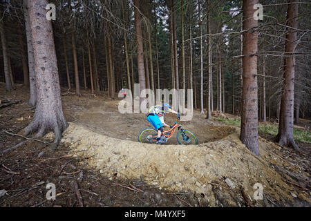 Mountain biker riding on trail in forest Stock Photo