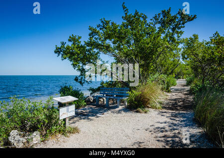 Shoreline mangrove forest path at Biscayne National Park in the northern Florida Keys. Stock Photo