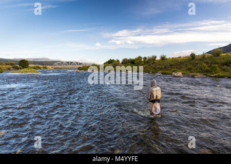 Rear view of man fishing knee deep in Madison River, Montana, USA Stock Photo