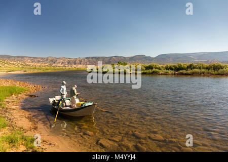 Two men fly fishing in rowboat on bank of Green River, Dutch John, Utah, USA Stock Photo