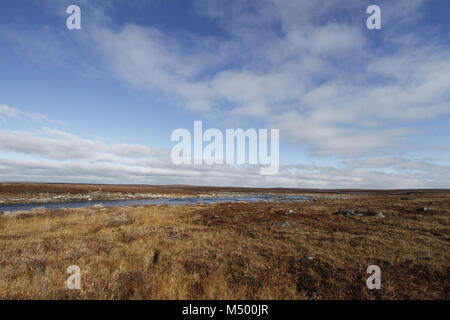 Flat arctic landscape in the summer with blue skies and soft clouds, near Arviat Nunavut Canada Stock Photo