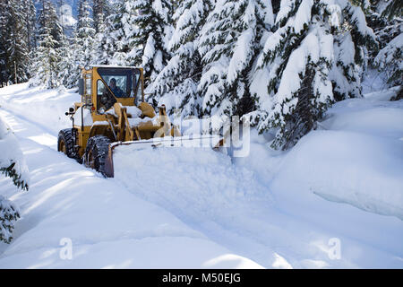 Noxon, Montana, USA. 19th February, 2018. Snow event. A Caterpillar 950 rubber tired articulated loader clearing snow on a mountain road north of Noxon, in Sanders County Montana. The loader is operated by Delbert Bowe of Libby, Montana. The road is located in a remote section of the Cabinet Mountains, about 20 miles north of Noxon, Montana. The area was hit with heavy snow that came in from the west over the weekend, that lasted several days and dumped over 20 inches of snow in the higher elevations. Stock Photo