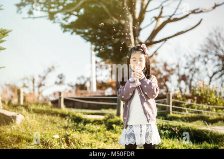 the child blowing a dandelion in a park. Stock Photo