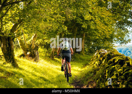 Female mountain biker on trail near Winster in the English Lake District Stock Photo