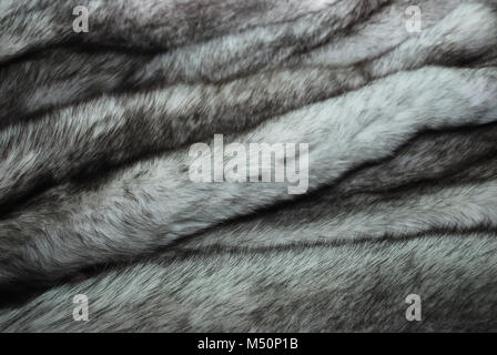 furs of polar fox Stock Photo