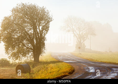 Morning mist on a country road Stock Photo