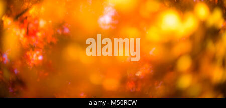 defocused red leaves, perfect autumn background Stock Photo