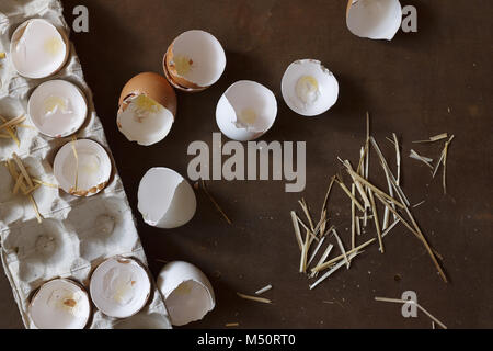 eggs and a shell on the farm Stock Photo