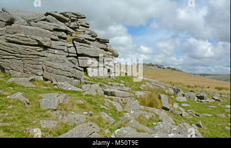 Middle Staple Tor, Dartmoor National Park, Devon Stock Photo