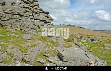 Middle Staple Tor, Dartmoor National Park, Devon Stock Photo