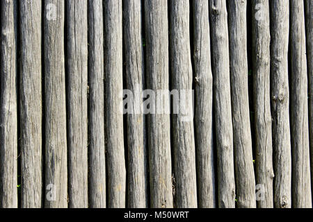 texture from big old grey and wooden logs Stock Photo