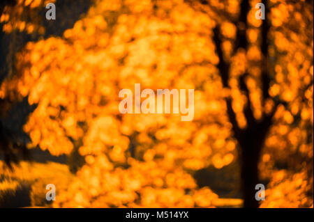 defocused red leaves, perfect autumn background Stock Photo