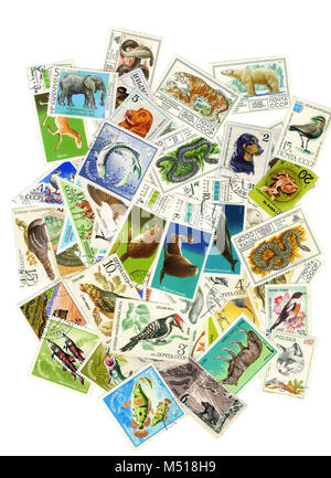 A collage of postage stamps on the theme of nature . To create a collage of used postage stamps of different countries with pictures of animals , bird Stock Photo