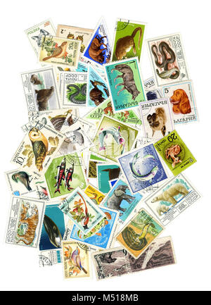 A collage of postage stamps on the theme of nature . To create a collage of used postage stamps of different countries with pictures of animals , bird Stock Photo