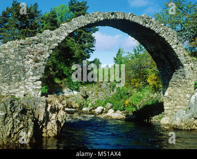 The remains of the old packhorse bridge at Carrbridge, built in 1717 and all but fatally damaged in the ‘muckle spate’ of 1829, north of Aviemore Stock Photo