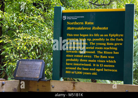 Ancient northern Rata tree information sign Stock Photo