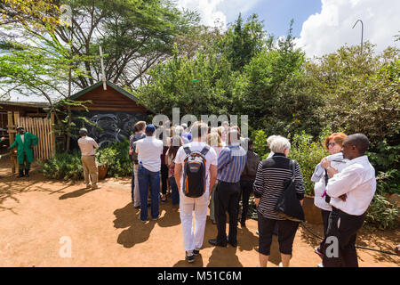 Tourists waiting in a queue to enter the David Sheldrick Wildlife Trust Elephant Orphanage in Nairobi, Kenya Stock Photo