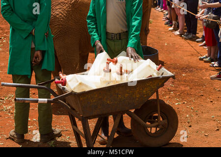 A wheelbarrow full of empty large milk bottles, David Sheldrick Wildlife Trust, Nairobi, Kenya Stock Photo