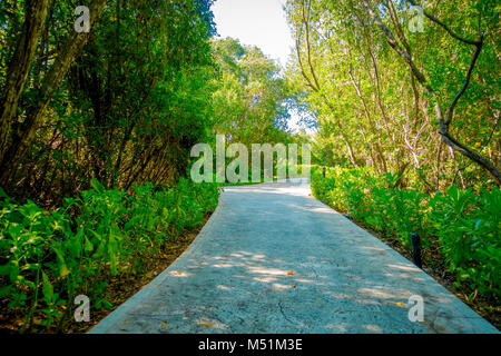 Beautiful stone path surrounding of vegetation in Playacar neighborhood, Playa del Carmen, Mexico Stock Photo