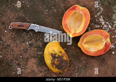 Tasty papayas and knife Stock Photo