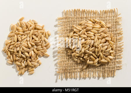 Avena Sativa is scientific name of Oat cereal grain. Also known as Aveia or Avena. Close up of grains spreaded over white table. Stock Photo