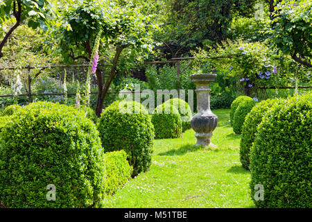 Stone ornamental vase on a grass path between buxus rounded topiary shrubs leading to a wooden arch with flowering clematis, in a cottage garden in ru Stock Photo
