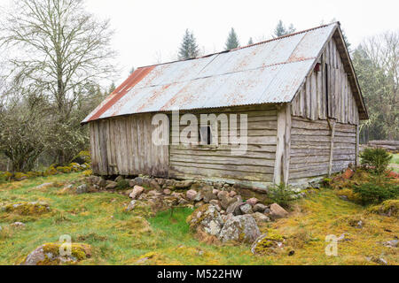 Old weathered shed in the pasture Stock Photo
