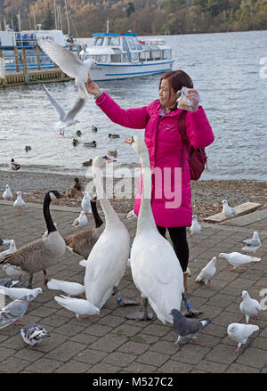 Japanese tourist feeding birds Bowness on Windermere Cumbria UK Stock Photo