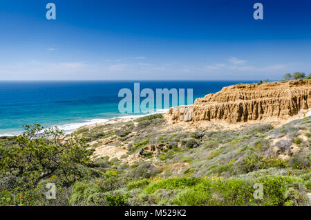 Torrey Pines State Natural Reserve, located within San Diego city limits,  remains one of the wildest stretches of land on our Southern California coa Stock Photo