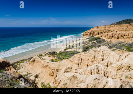 Torrey Pines State Natural Reserve, located within San Diego city limits,  remains one of the wildest stretches of land on our Southern California coa Stock Photo