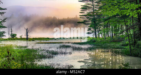 Misty morning sunrise on a remote woodland bog evokes a peaceful, relaxing mood at Moultonborough, New Hampshire, USA. Stock Photo