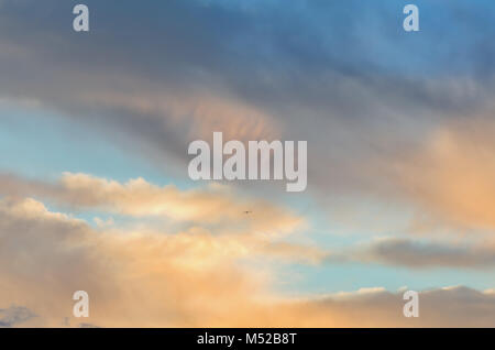 a bird in the sky flies in multicolored, fluffy glowing clouds to meet the light Stock Photo