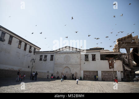 Pigeons outside the Umayyad Mosque scatter at the sound of bombing in the nearby besieged suburbs of Jobar and East Ghouta. Despite the ongoing conflict in Syria, life in government-held parts of Damascus still carries on relatively peacefully. Damascus, the capital city of war-torn Syria, is mostly under control by the official Syrian government led by president Bashar al-Assad. Stock Photo