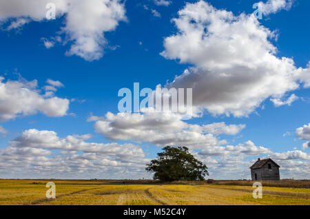 lush, white cumulus clouds against the blue sky over a yellow beveled field with a green tree, a haystack and an old house on a clear summer day Stock Photo